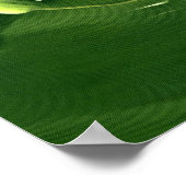 Poster Banane Feuille Green Monochromatic Peinture (Coin)