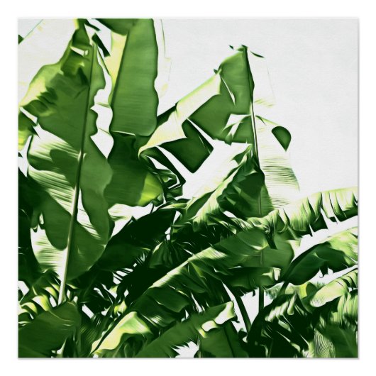 Poster Banane Feuille Green Monochromatic Peinture (Devant)