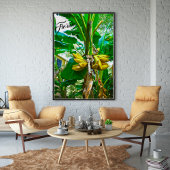 Poster Banane tropicale Palm Tree St Augustine Floride