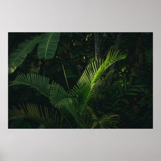 POSTER BANANE VERTE EN JOURNÉE (Devant)