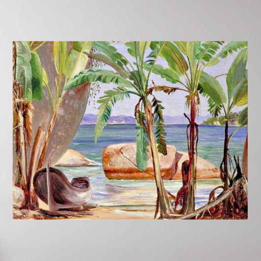 Poster Bananes et rochers à Paqueta, Brésil, (Devant)