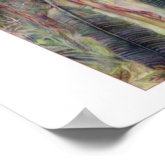 Poster Bananiers © 2010 (Coin)