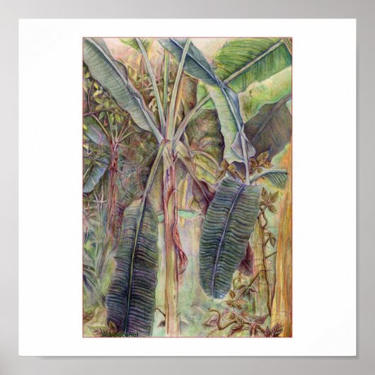 Poster Bananiers © 2010 (Devant)