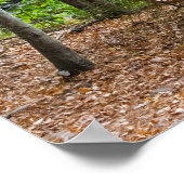 Poster Banc de forêt tranquille en automne (Coin)