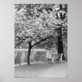 Poster Banc de parc (Devant)