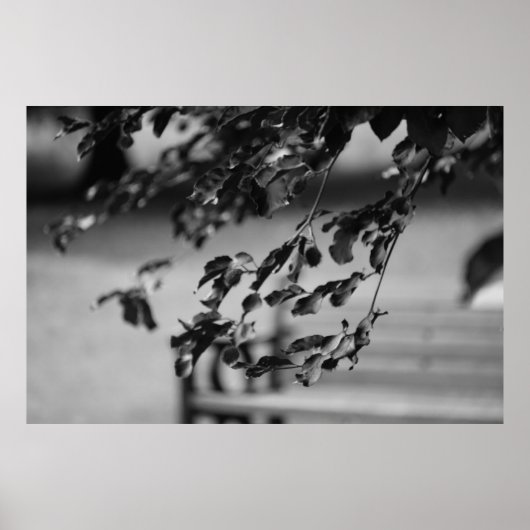 Poster Banc de parc (Devant)