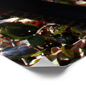 Poster Banc de parc à Central Park, New York (Coin)