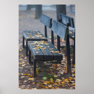 Poster Banc de parc brumeux matin, Allemagne