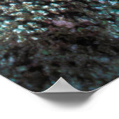 Poster Banc de rougets autour d'un petit corail (Coin)