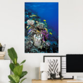 Poster Banc de rougets autour d'un petit corail (Bureau à domicile)