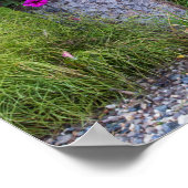 Poster Banc Rustique Et Bouche Fleur Photographie (Coin)