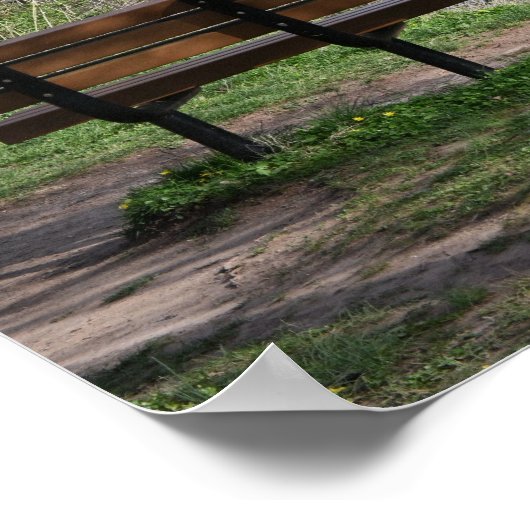 Poster Banc surplombant le ruisseau (Coin)