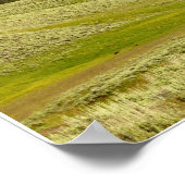 POSTER BANDE DE BLUEGRAS 5 PIÈCES (Coin)