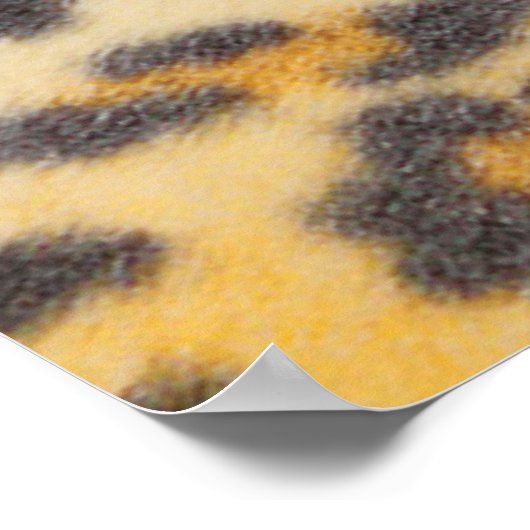 Poster bande de boris (Coin)