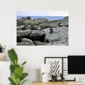 Poster Bande de phoque fourrure (Bureau à domicile)