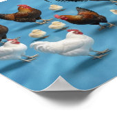 Poster Bande de poussins et de coquelets (Coin)