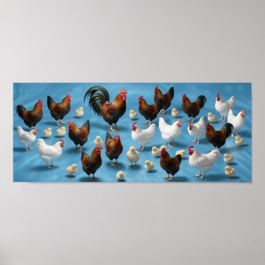 Poster Bande de poussins et de coquelets (Devant)