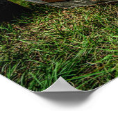 Poster Bande de roulement à cycle Kentz Kustom (Coin)