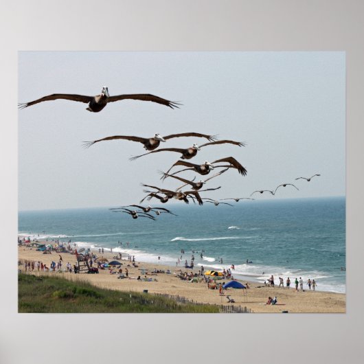 Poster Bande d'oiseaux pélicans survolant la plage d'OBX (Devant)