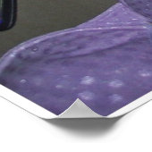 Poster Bande Poker en couleur (Coin)