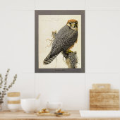 Poster Bandeau Abyssin (Cuisine)