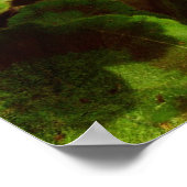 Poster Bandit dans les fleurs (Coin)