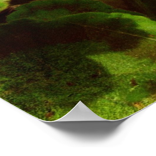 Poster Bandit dans les fleurs (Coin)