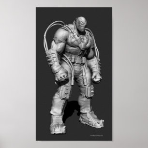 Poster Bane