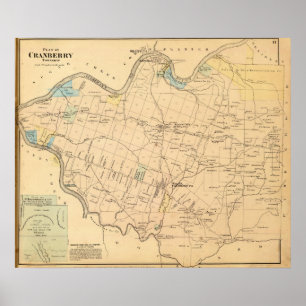 Poster Banlieue noire de canneberge