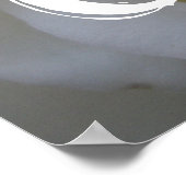 Poster Bannière de porte Carolyn White Rose (Coin)