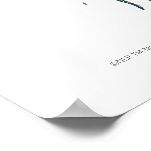 Poster Bannière du Rohan Kings Hall (Coin)