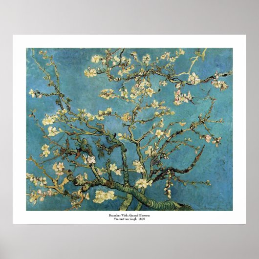 Poster Banques en fleurs d'amandes par Vincent van Gogh (Devant)
