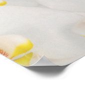 Poster Banquets de fleurs d'orchidée, fonctions panneaux  (Coin)