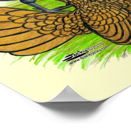 Poster Bantam Quartet (Coin)