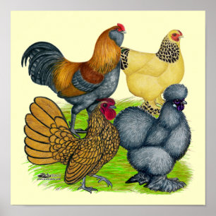 Poster Bantam Quartet