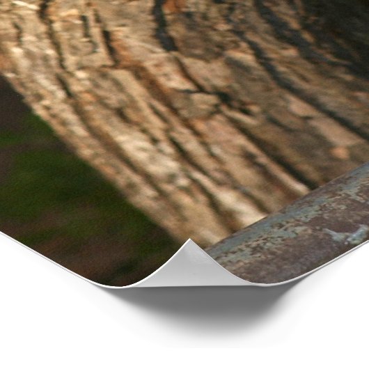 Poster Bantam Rooster (Coin)