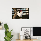Poster Bantam Rooster (Bureau à domicile)