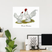 Poster Bantams ancrés (Bureau à domicile)