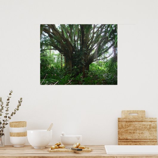 Poster Banyan Tree (Cuisine)