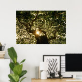 Poster Banyan Tree Canopy Sunstar (Bureau à domicile)