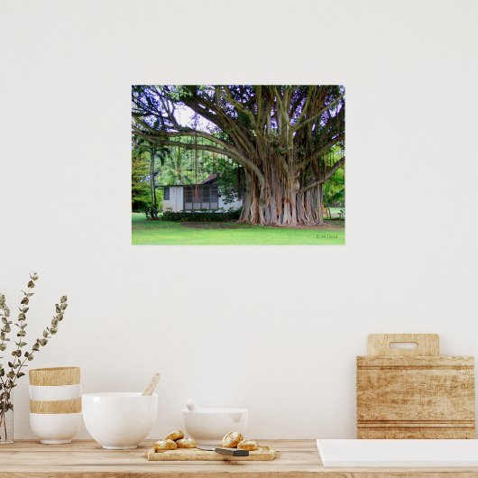 Poster Banyan Tree Cottage (Cuisine)