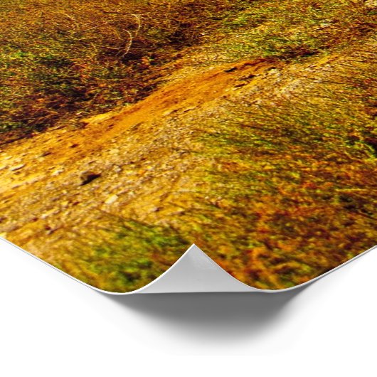 Poster Baobab (Coin)