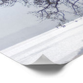 Poster Baobab (Adansonia Digitata), Luanda (Coin)