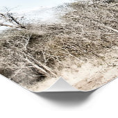 Poster Baobab dans le parc national des piscines de Mana, (Coin)