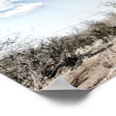 Poster Baobab dans le parc national des piscines de Mana, (Coin)