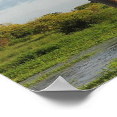 Poster Baobab de Grandidier Madagascar (Coin)