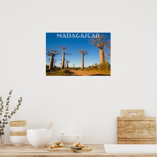 Poster Baobabs de Madagascar (Cuisine)
