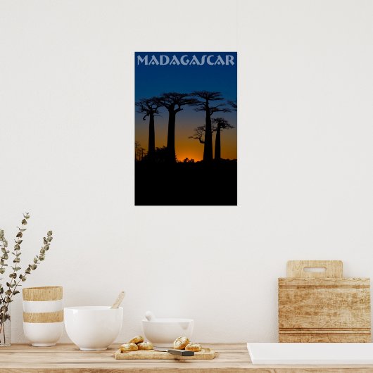 Poster Baobabs de Madagascar (Cuisine)