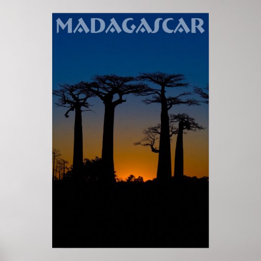 Poster Baobabs de Madagascar (Devant)