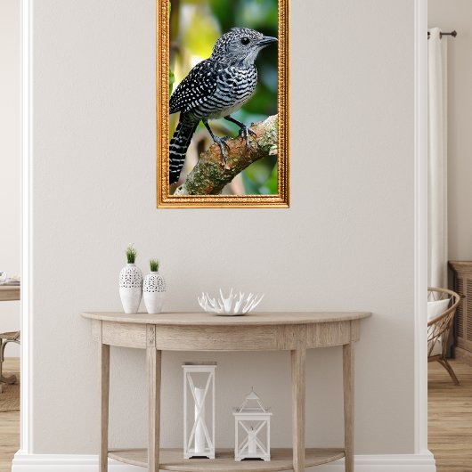 Poster Bar-crested antshrike
